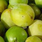 Grön Reine Claude Plommon - Prunus Domestica 'Grön Reine Claude'