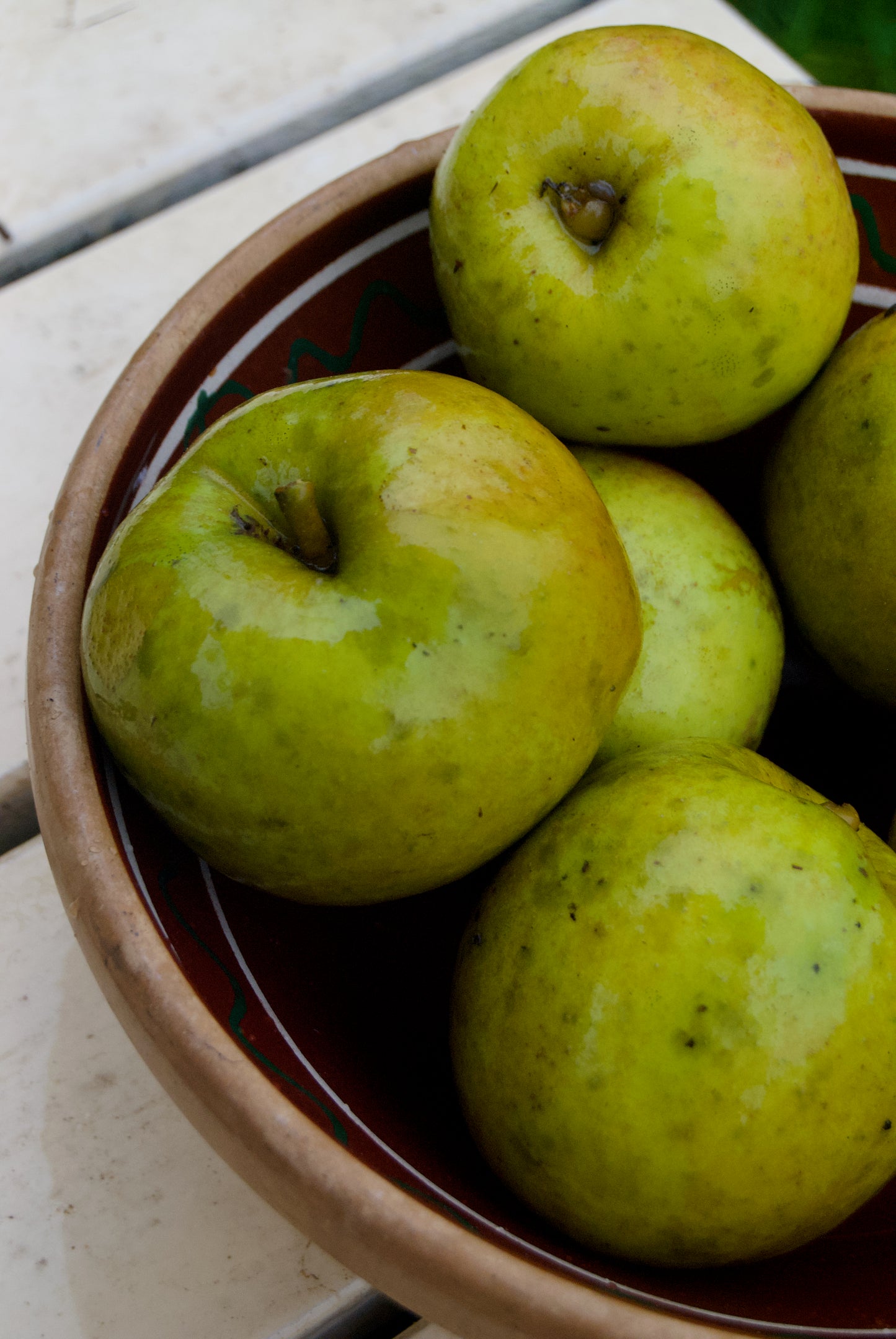 Belle de Boskoop Äpple på P60 Grundstam