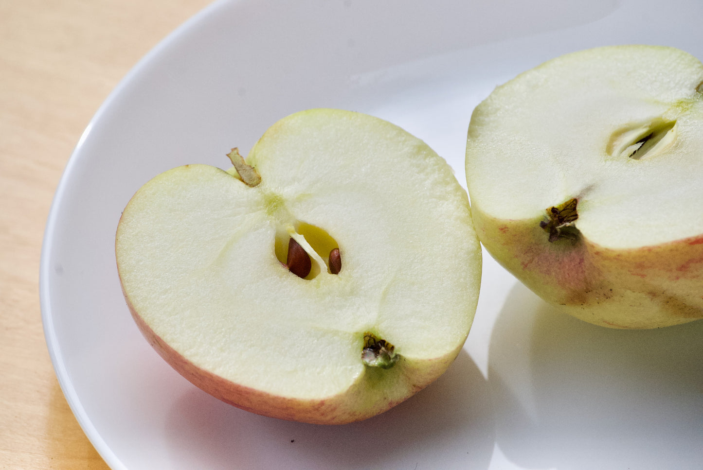 Ellis Bitter Äpple på Antonovka Grundstam
